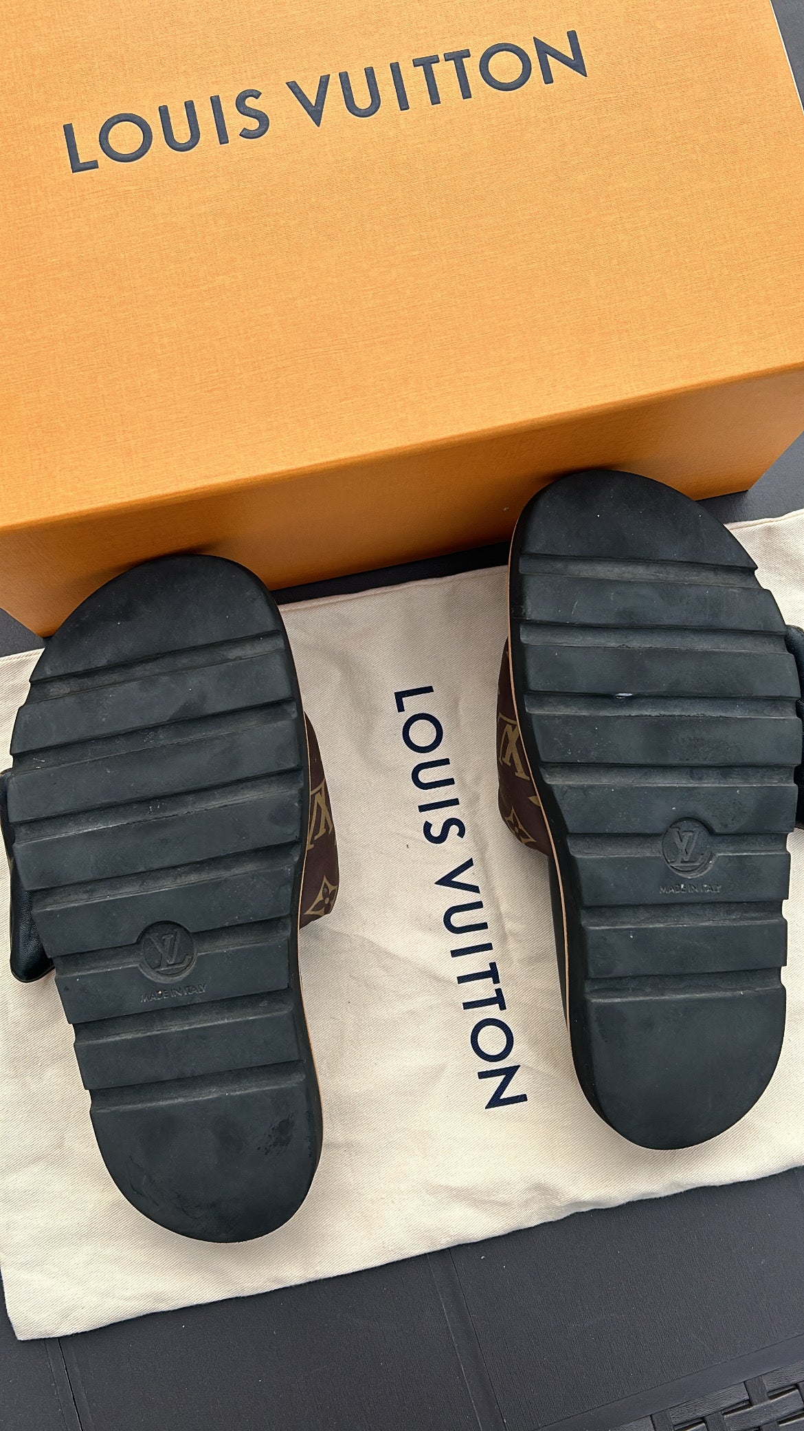 LOUIS VUITTON Pool Pillow