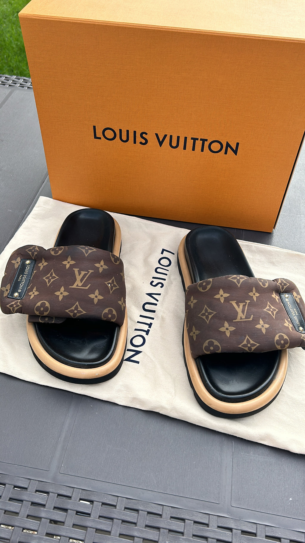 LOUIS VUITTON Pool Pillow