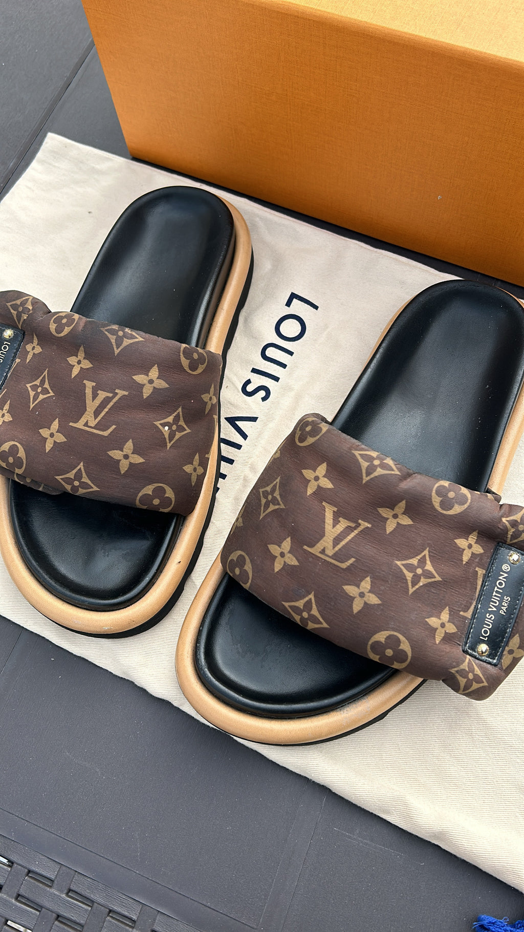 LOUIS VUITTON Pool Pillow