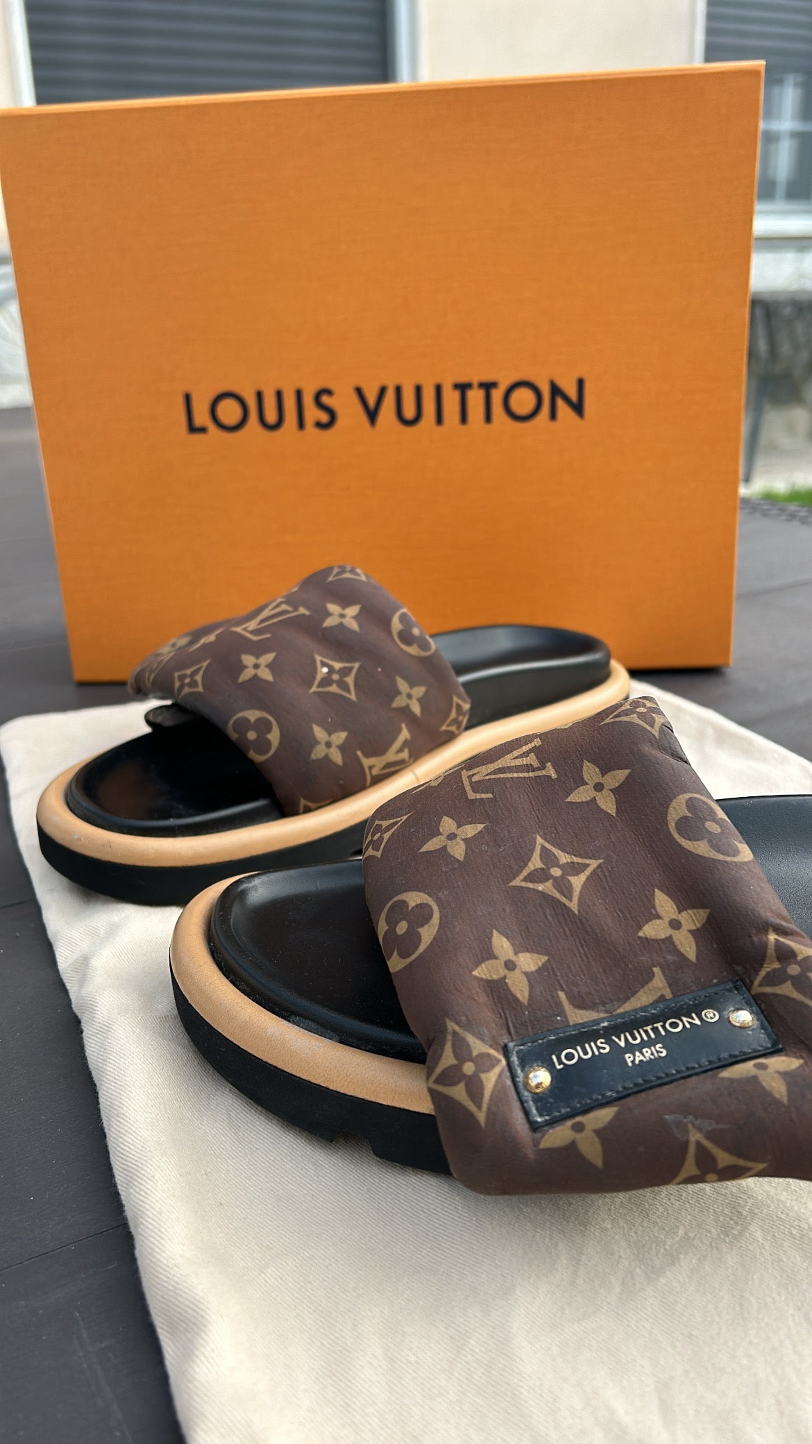 LOUIS VUITTON Pool Pillow